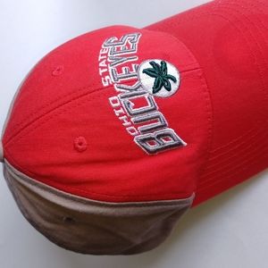 The Ohio State University Buckeyes adjustable baseball cap with Buckeye leaf #2